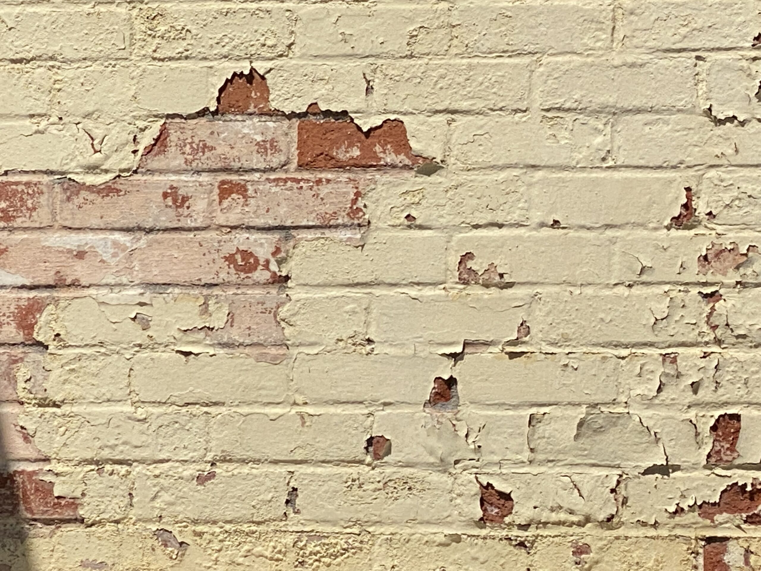 Getting Rid of Lead Paint: A How-To Guide